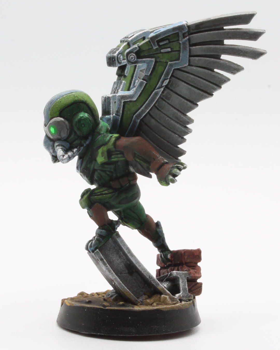 Vulture, photo 7