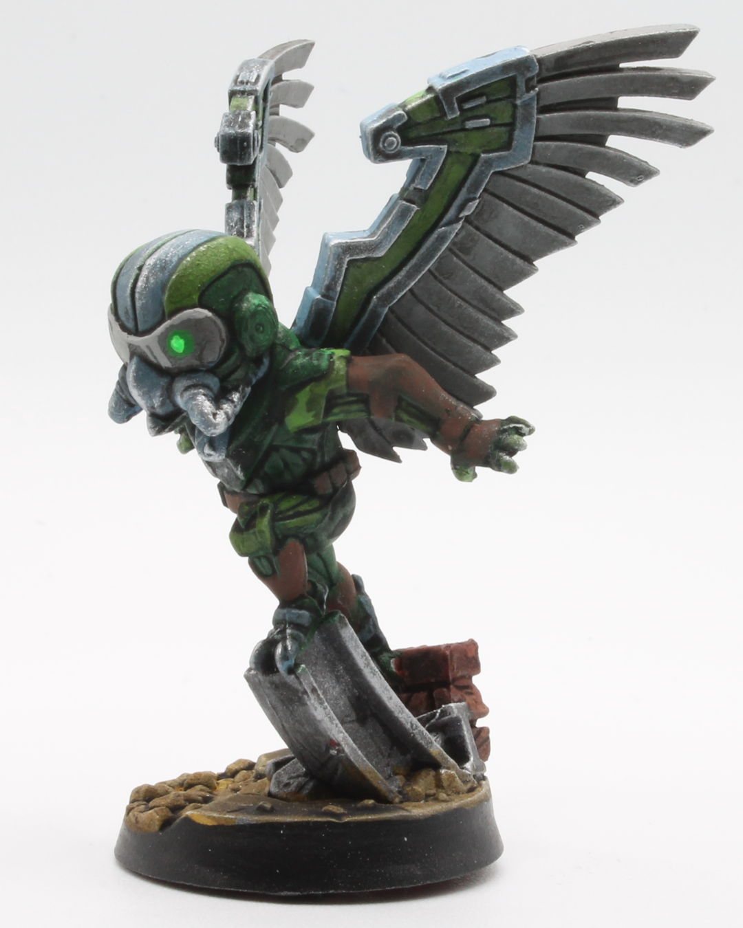 Vulture, photo 8