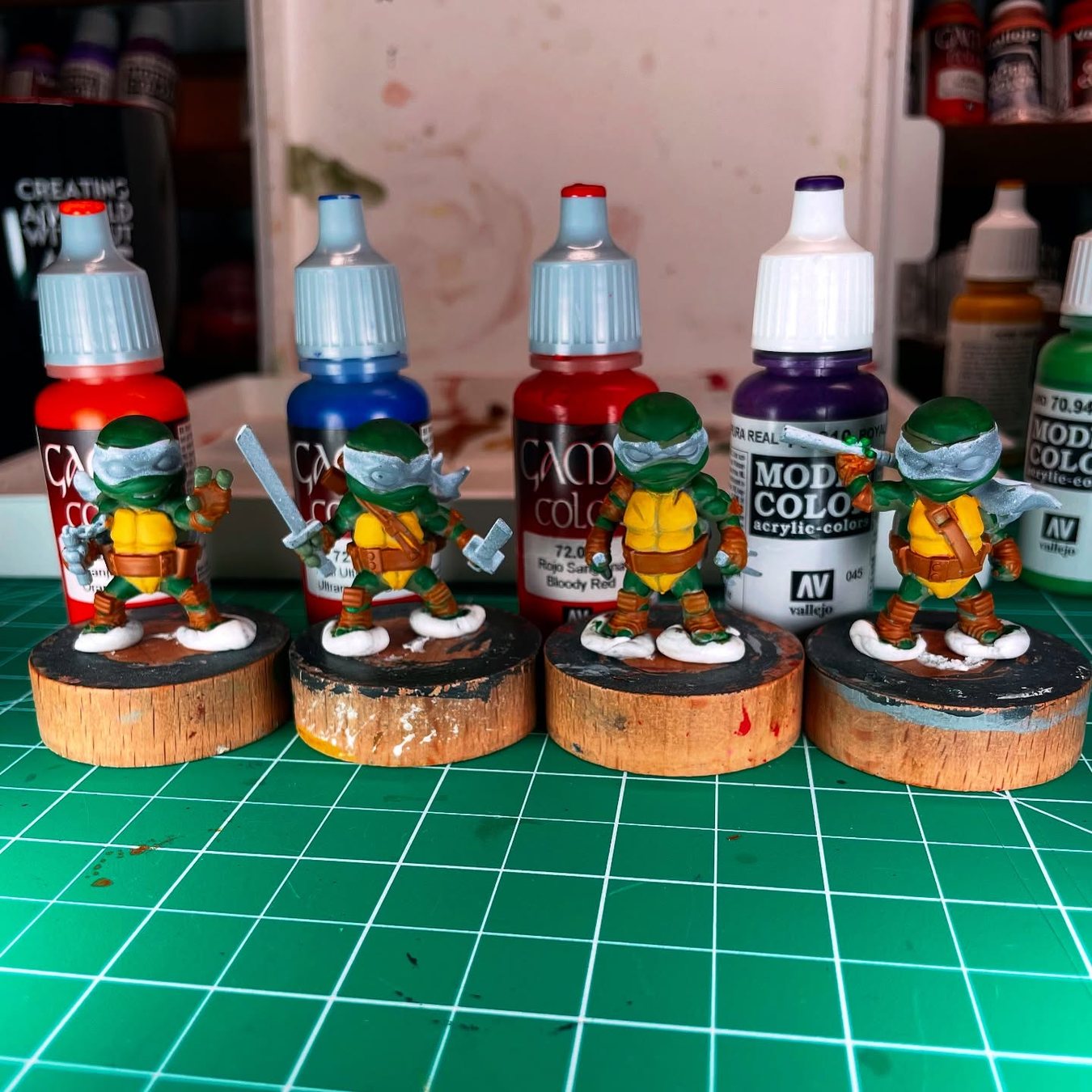 Differentiating the turtles, photo 1