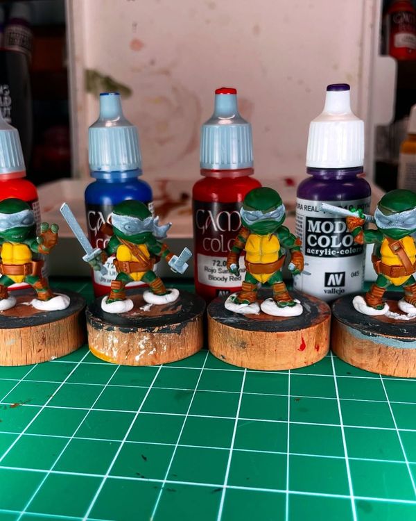 Differentiating the turtles, photo 1