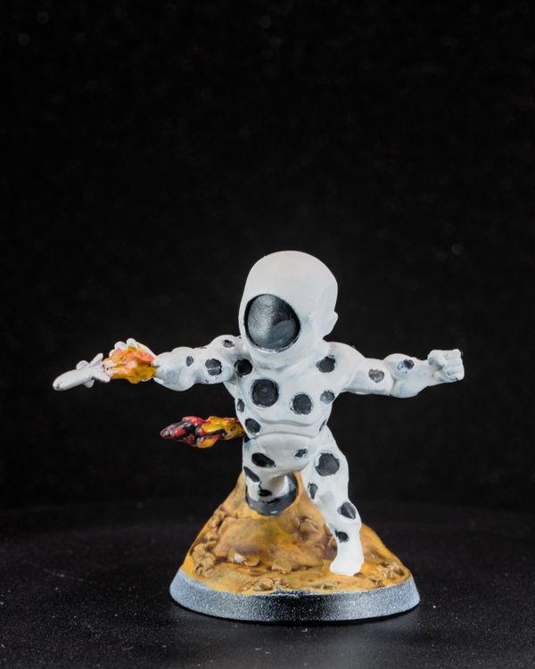 Spot, photo 1