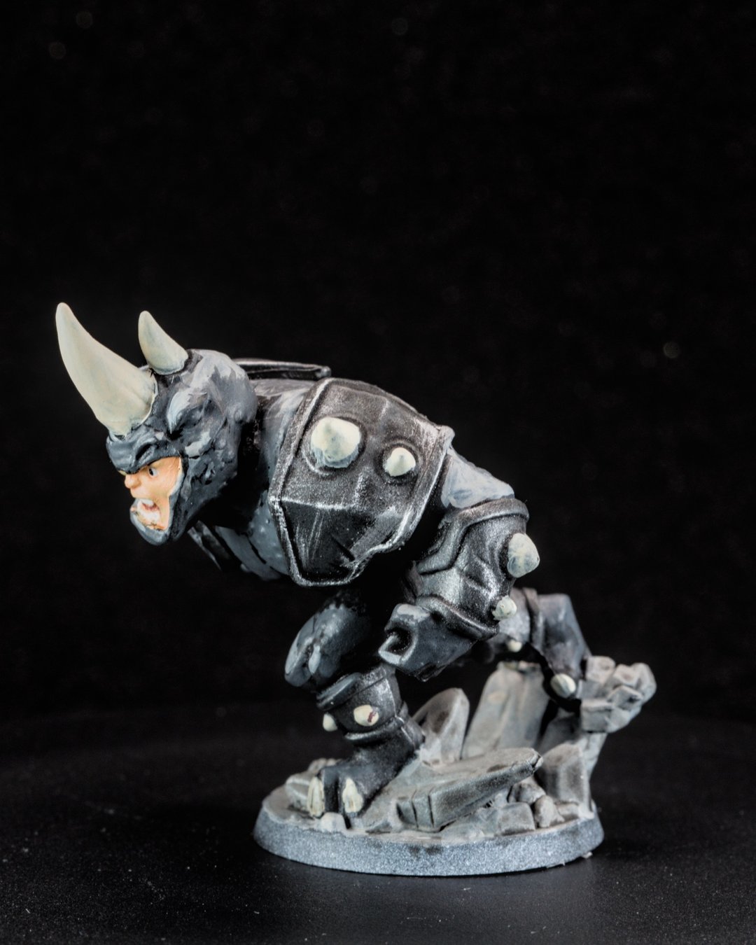 Rhino, photo 2