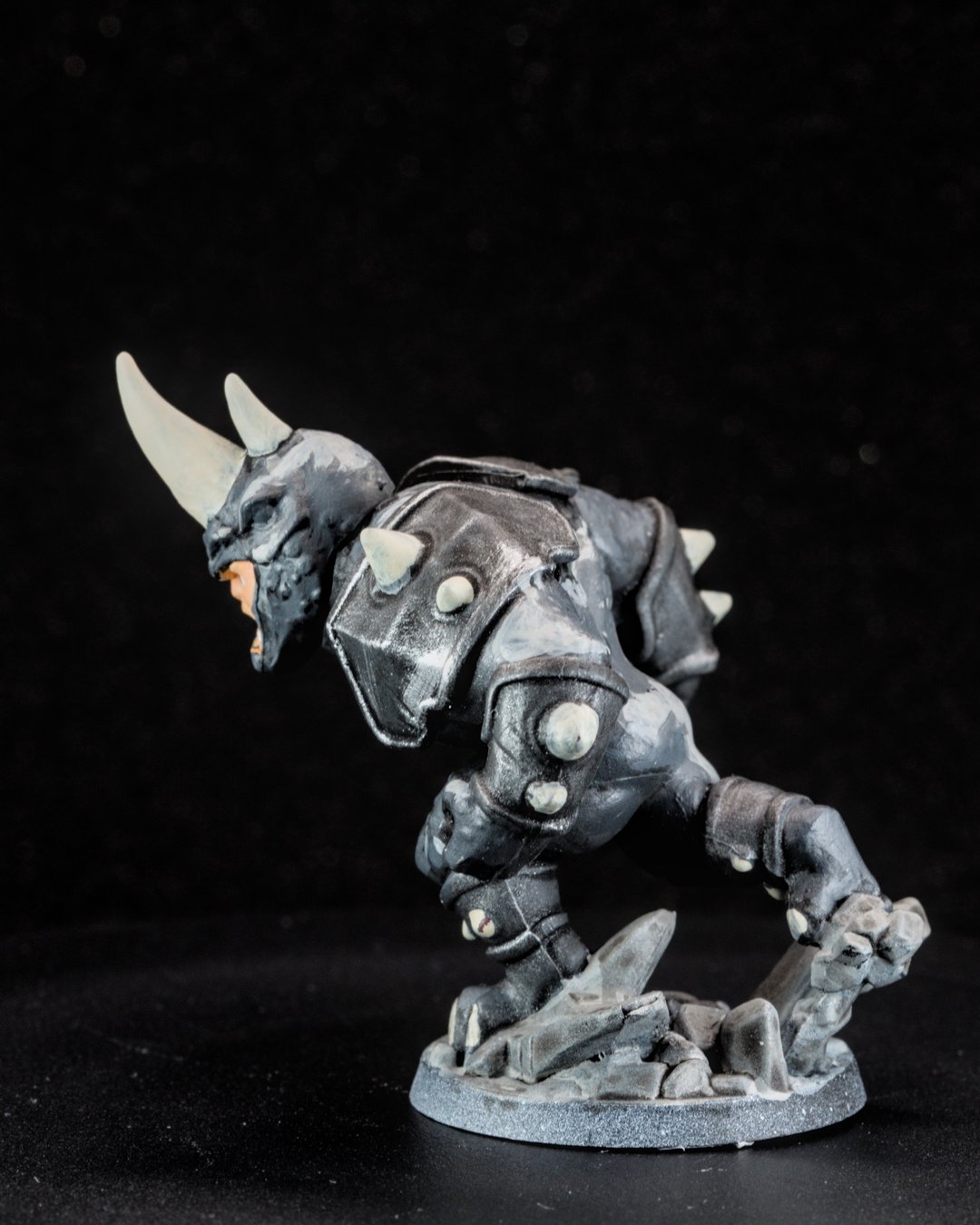 Rhino, photo 3