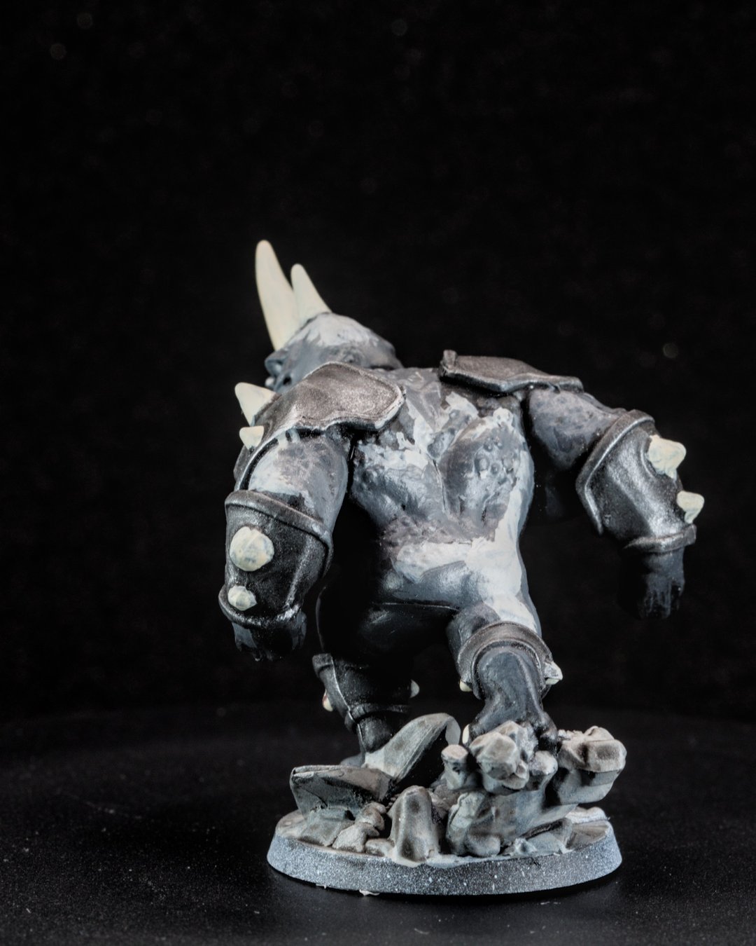 Rhino, photo 4