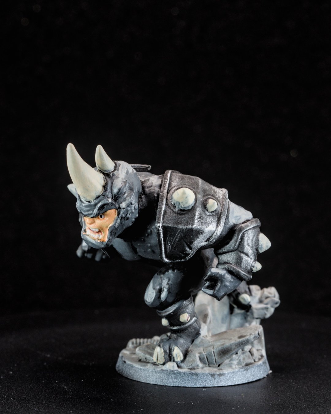 Rhino, photo 5