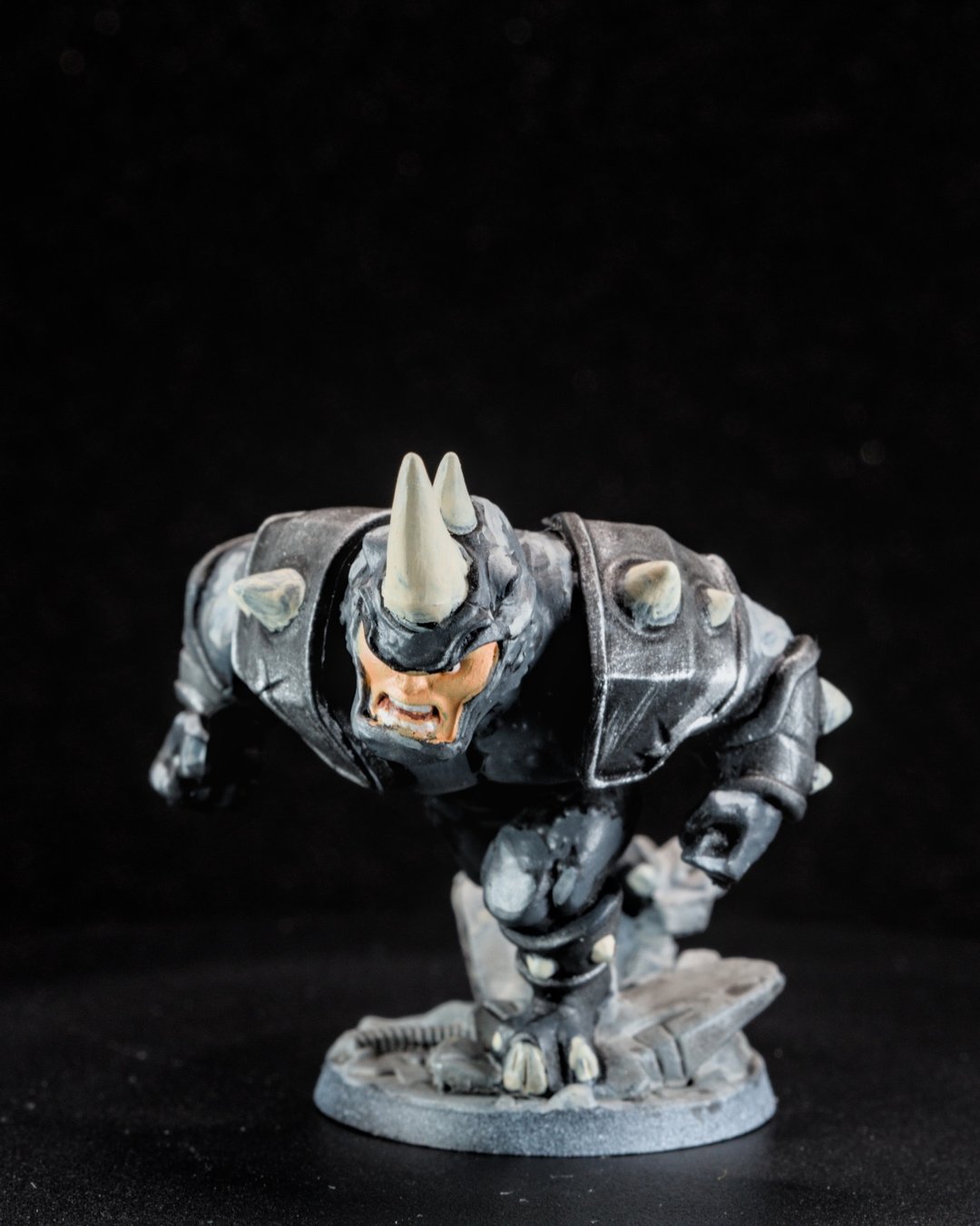 Rhino, photo 6