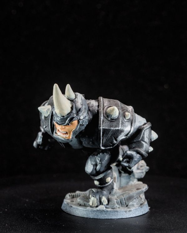 Rhino, photo 1