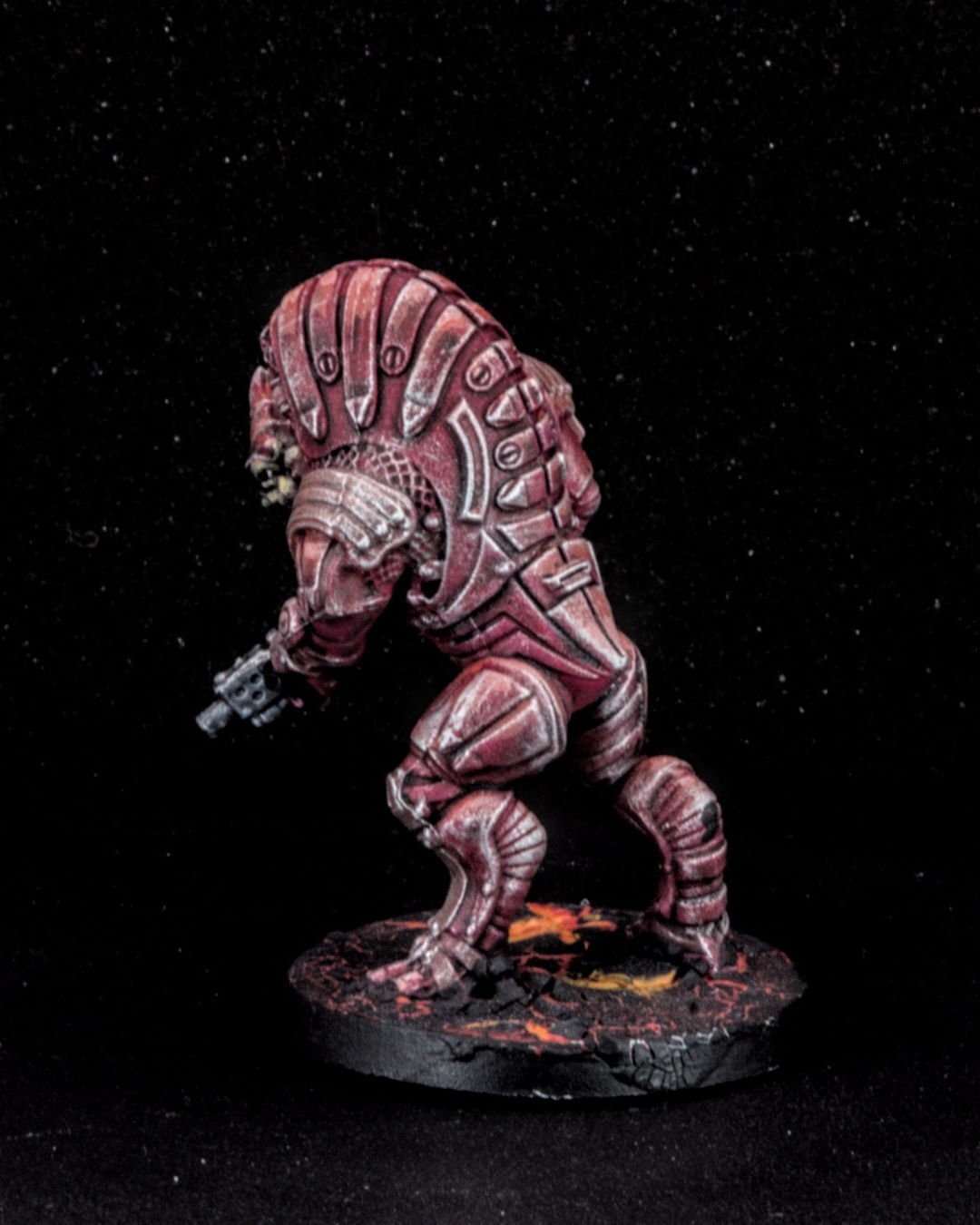 Wrex, photo 5