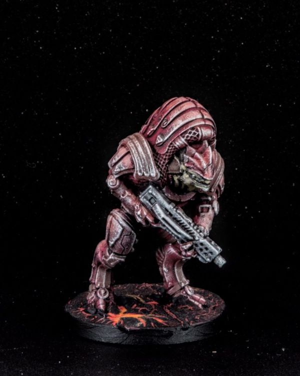 Wrex, photo 1