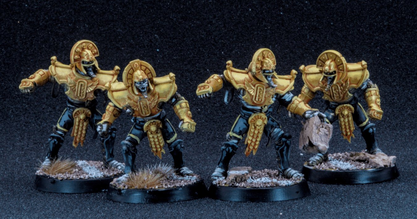 Tomb Kings in black and gold, photo 3