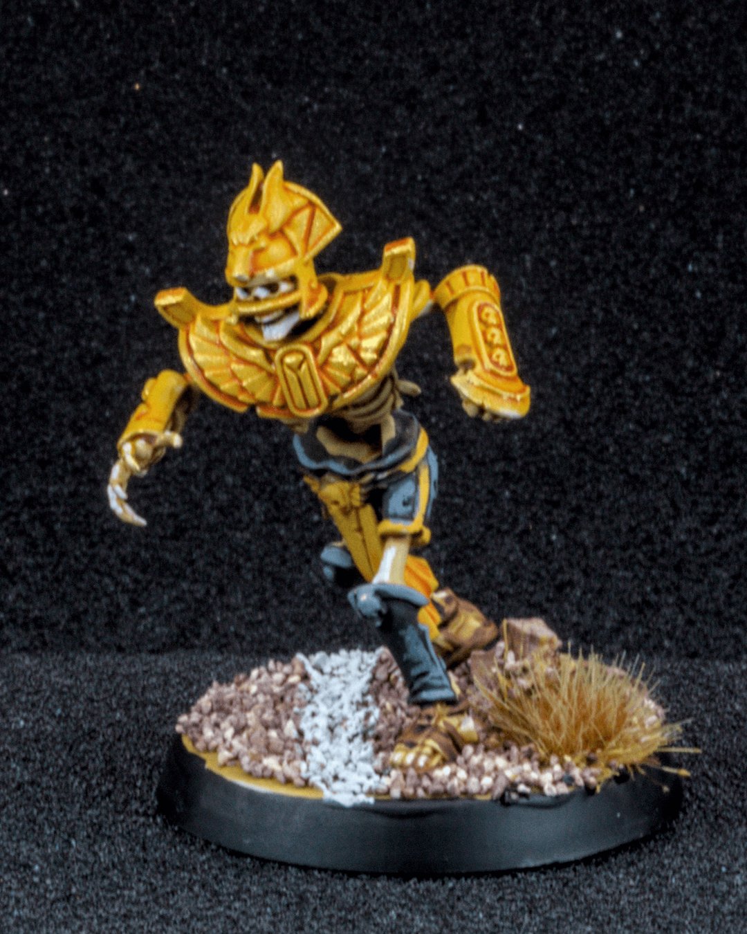 Tomb Kings Blitzer, photo 2