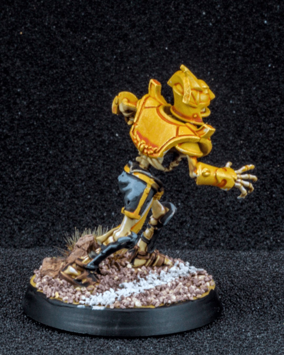 Tomb Kings Blitzer, photo 4