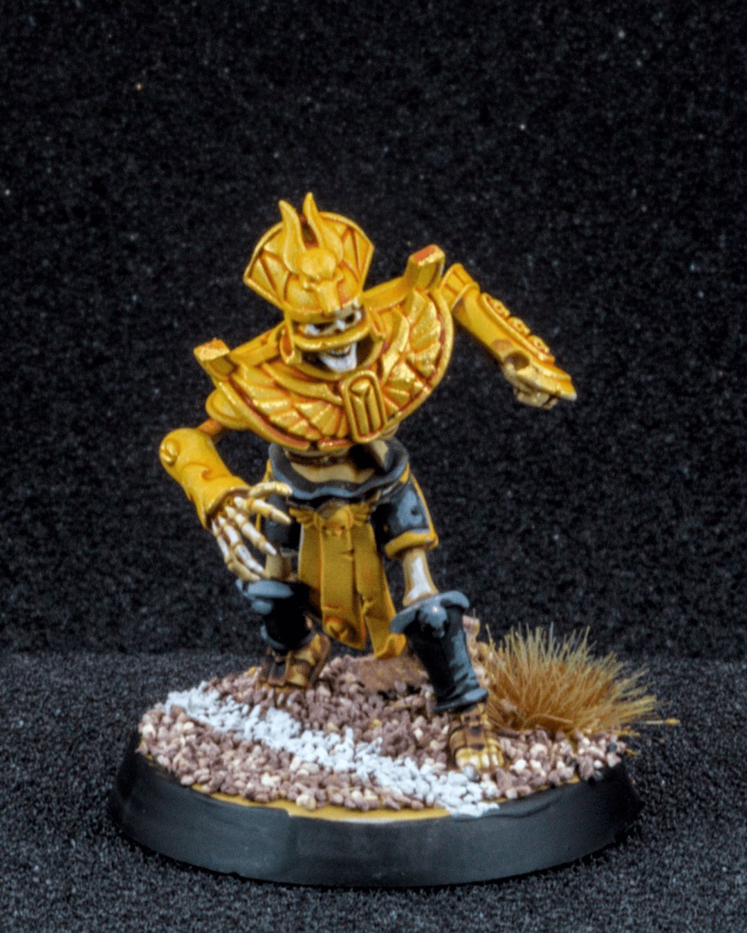 Tomb Kings Blitzer, photo 5