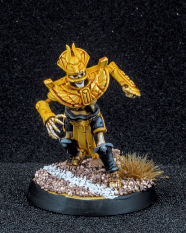 Tomb Kings Blitzer, photo 1
