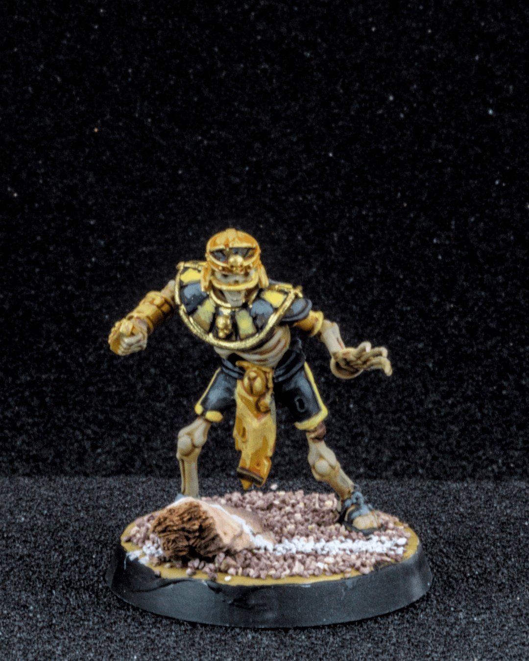 Tomb Kings Linemen, photo 1