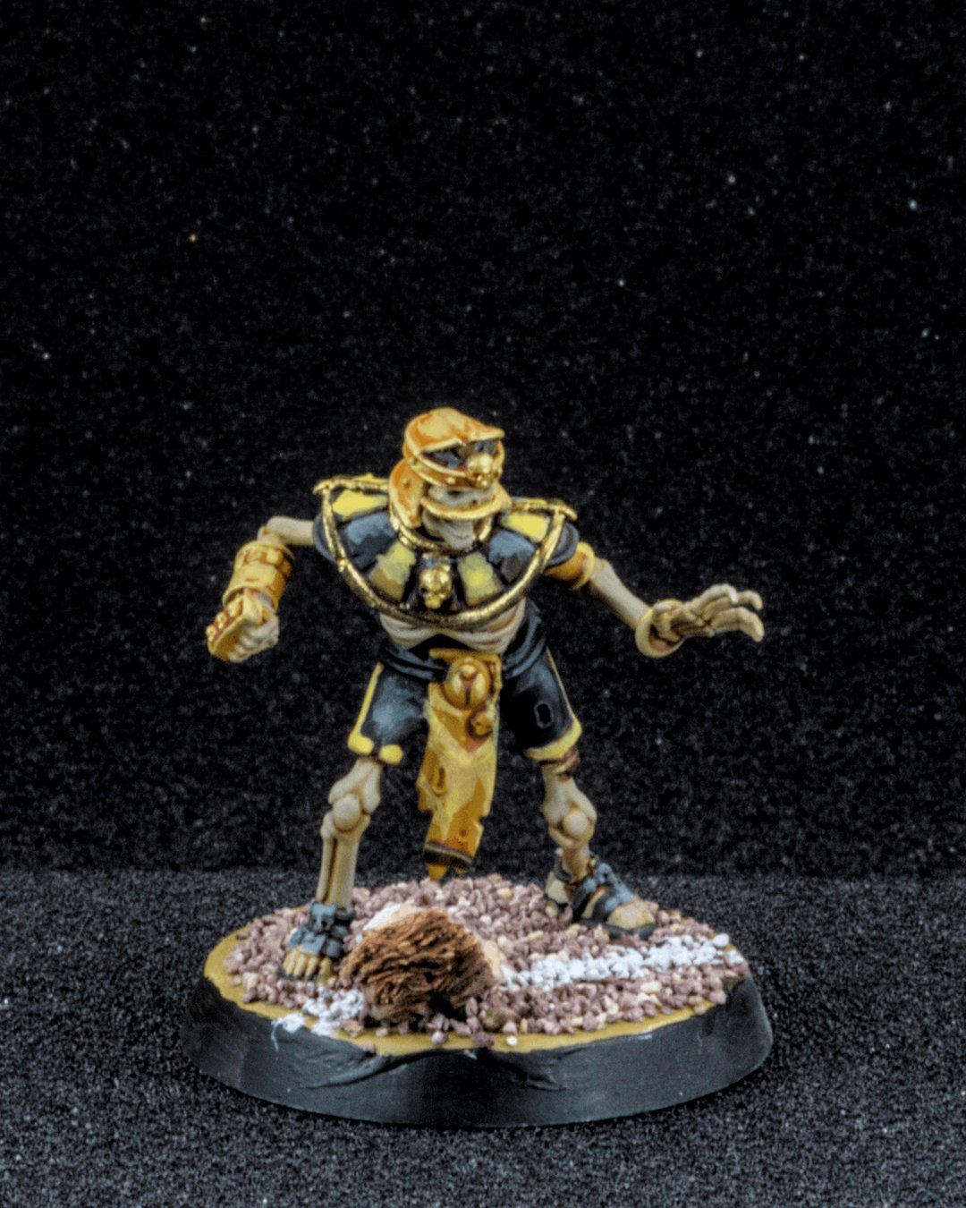 Tomb Kings Linemen, photo 3