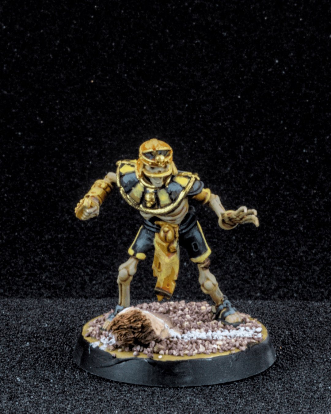 Tomb Kings Linemen, photo 6
