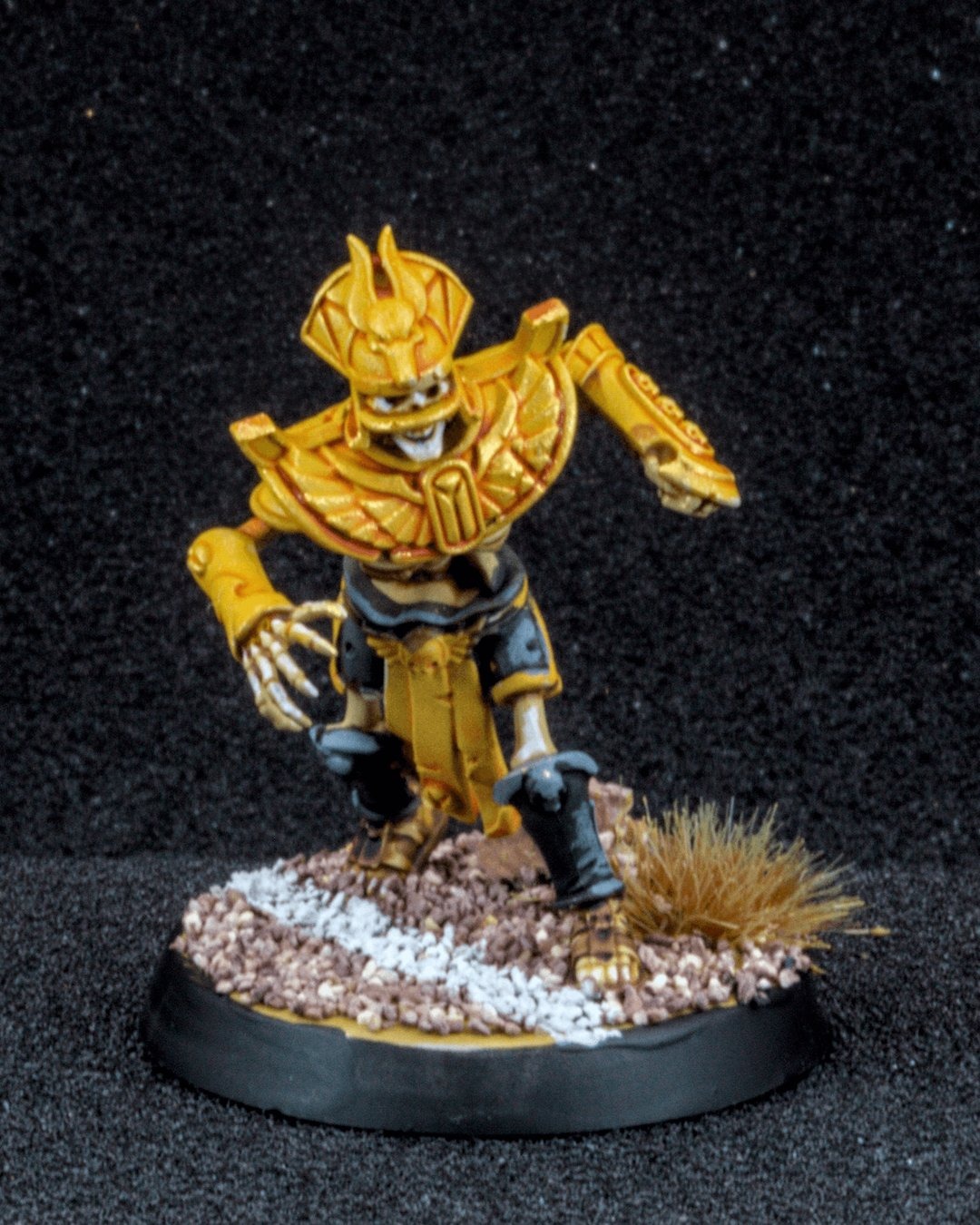 Tomb Kings skeleton blitzer in black and gold, charging